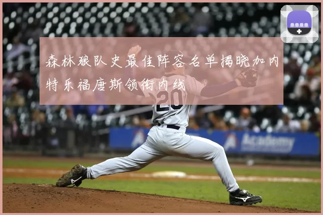 森林狼队史最佳阵容名单揭晓加内特乐福唐斯领衔内线