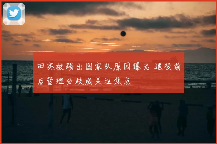 田亮被踢出国家队原因曝光 退役前后管理分歧成关注焦点