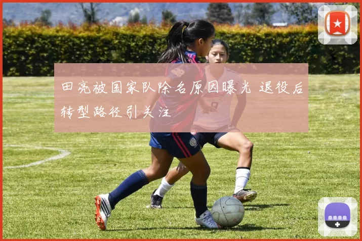 田亮被国家队除名原因曝光 退役后转型路径引关注