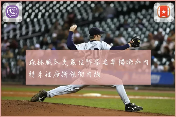 森林狼队史最佳阵容名单揭晓加内特乐福唐斯领衔内线